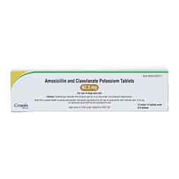 Amoxicillin Trihydrate and Clavulanate Potassium for Dogs & Cats Brand May Vary